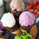 Image for article titled Why You Need Instant Gratification, According to Science
